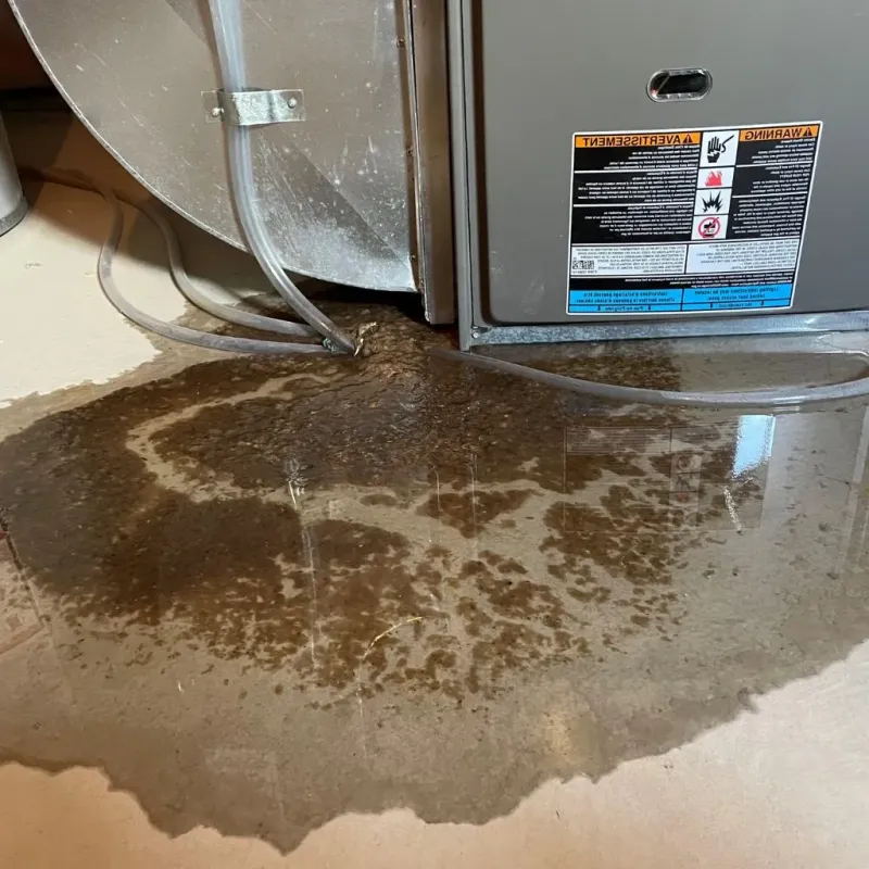 Pipe Burst and Leak Restoration in Bellefonte, PA
